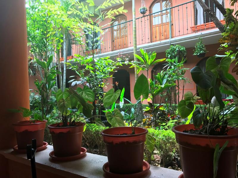 Hotel Posada San Jeronimo Coatepec  Exteriér fotografie