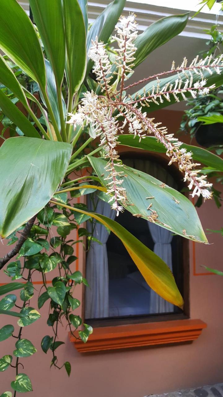 Hotel Posada San Jeronimo Coatepec  Exteriér fotografie